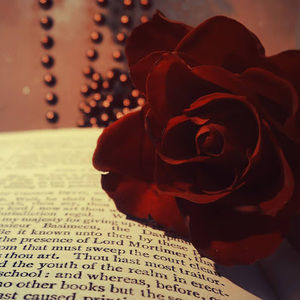 Meet your Posher, Sal